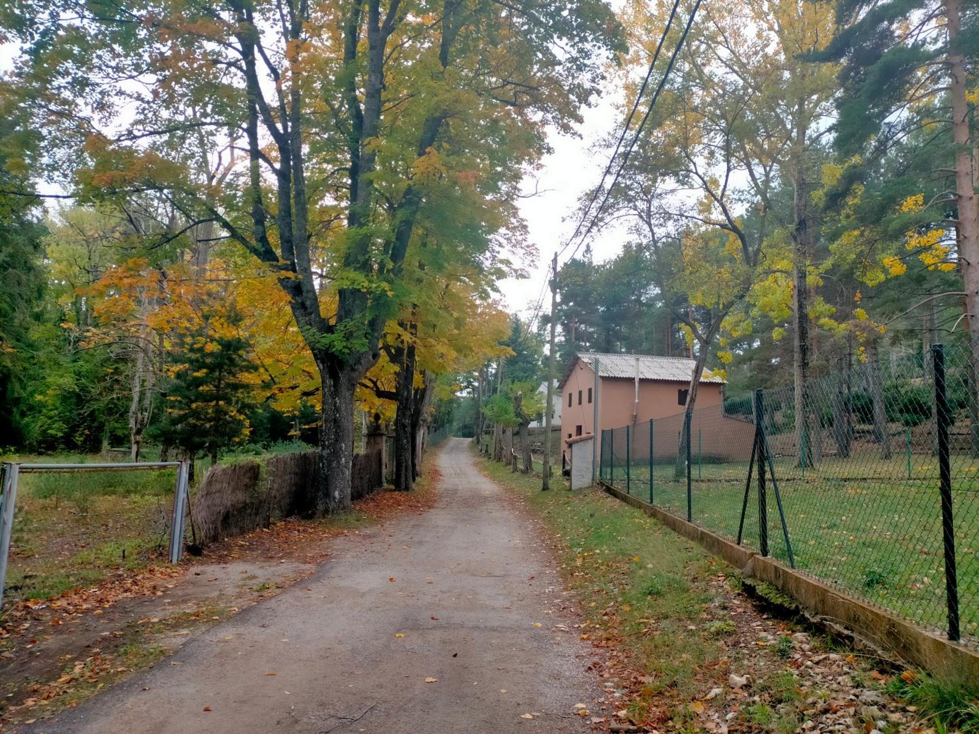 San Jorge  Casa Rural Tia Salome מראה חיצוני תמונה
